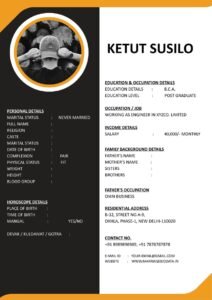 Editable Marriage Biodata Word Template Modern