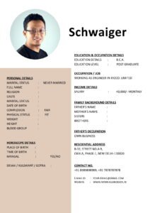 Free Marriage Biodata Word Template Modern