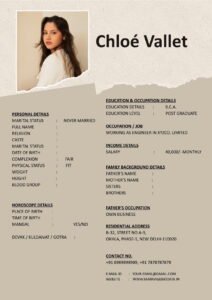 Marriage Biodata Format Word Professional