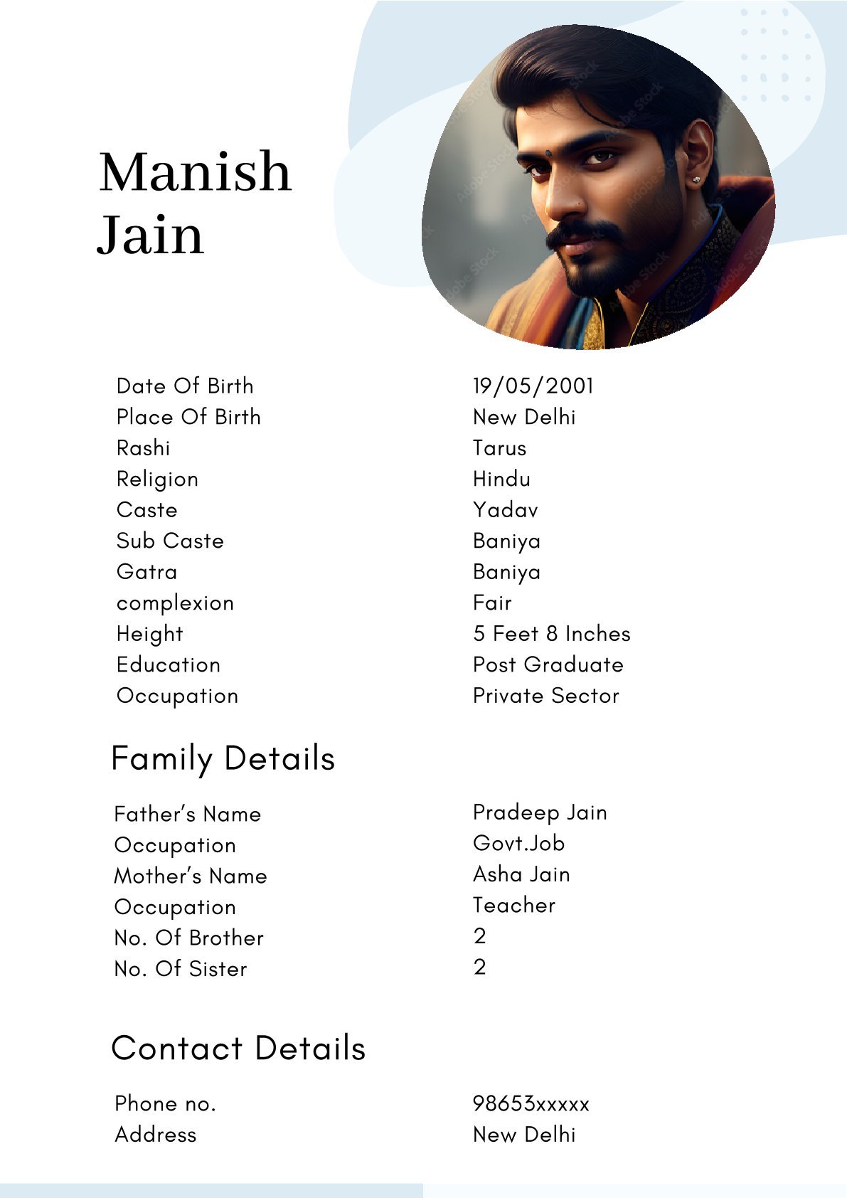 Professional Hindu Groom Biodata Format