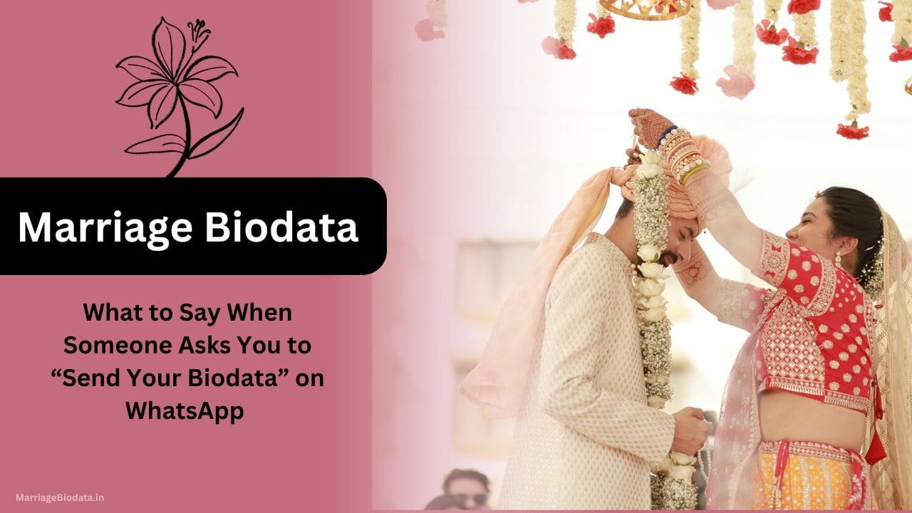 What to Say When Someone Asks You to “Send Your Biodata” on WhatsApp